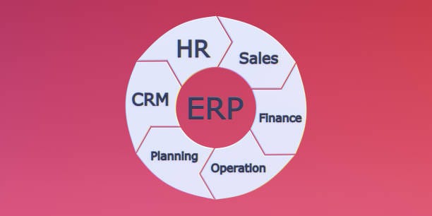 Orchestrating Success: The Synergy of ERP and HRMS Solutions
