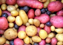 What Are The Medical Advantages Of Potato
